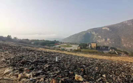 昔日“垃圾山”今朝“花海洋” 西區這個地方美出新高度