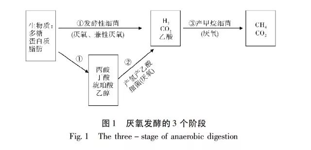 干式厭氧發酵技術在城市環保中的作用