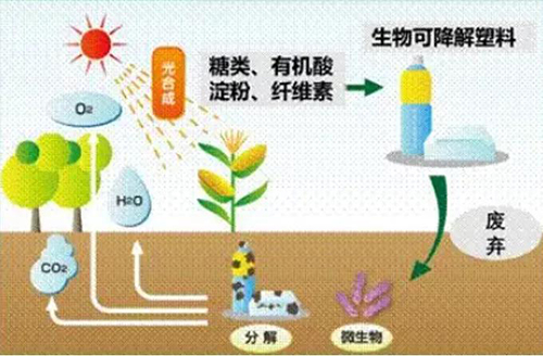 “可降解塑料”不是塑料嗎？